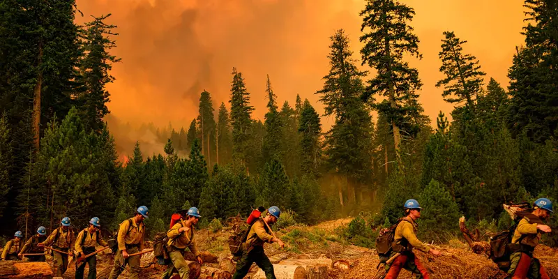 Lebih dari 414 Hektare Hutan di California Hangus Terbakar