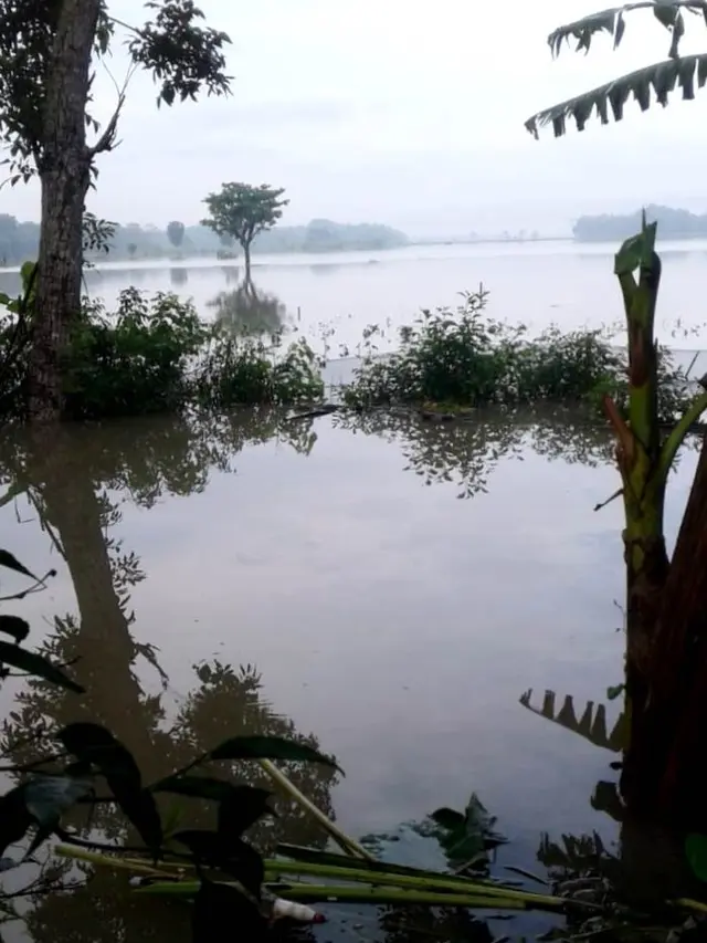 Genangan banjir di Kebumen wilayah Selatan masih tinggi lantaran kontur wilayah berupa cekungan. (Foto: Liputan6.com/Pusdalops-PB Kebumen/Muhamad Ridlo)