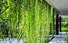8 Ide Desain Taman di Atap Rumah yang Cantik dan Asri Alami