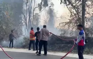 Kebakaran Taman Nasional Bukit Barisan Selatan, 3 Hektare Hutan Hangus