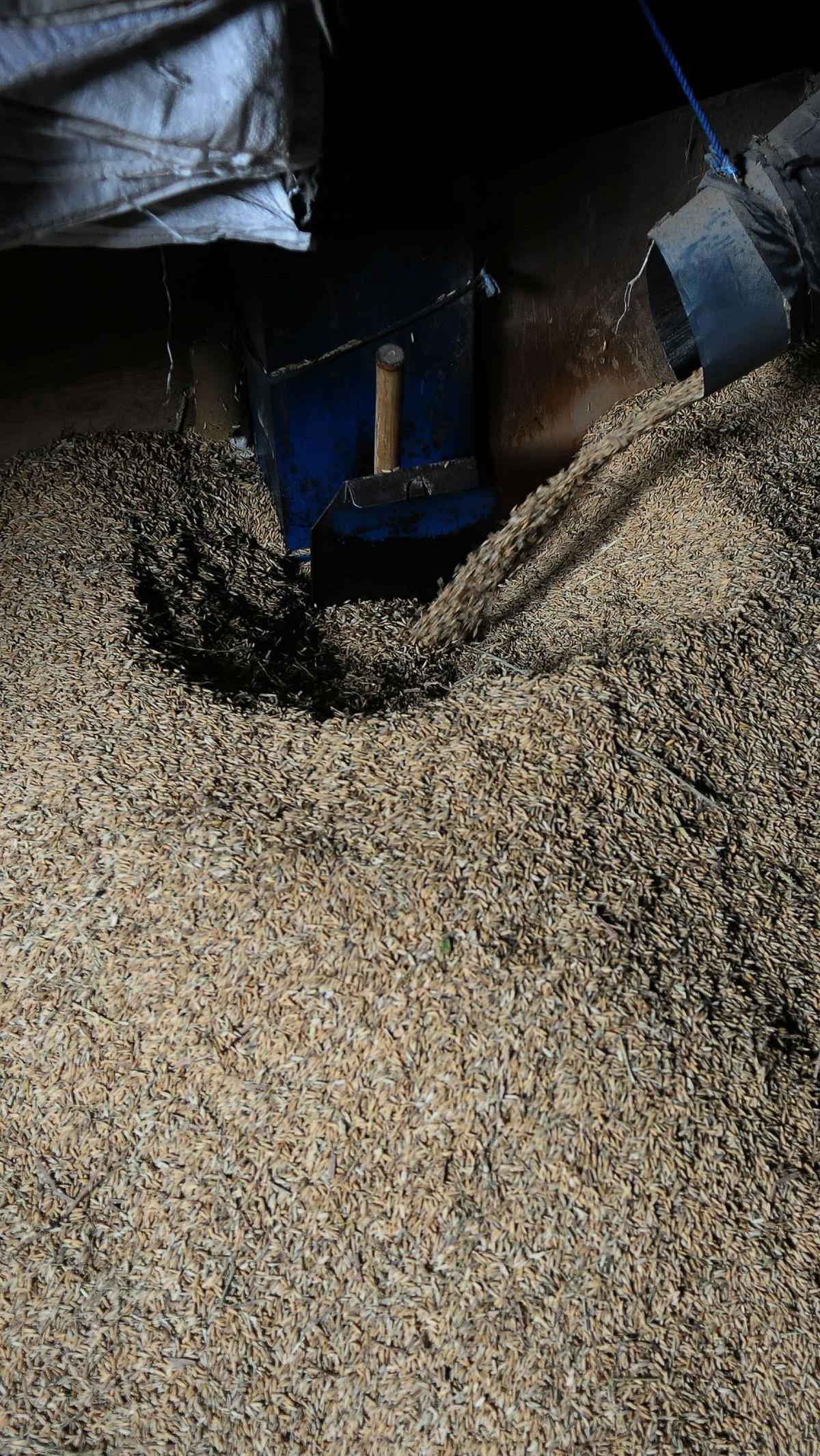 Selain masalah harga ada kendala lain yang membuat harga gabah belum juga turun.