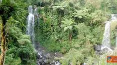Citizen6, Jawa Tengah: Dinding Air Terjun terdiri dari batuan padat dan pinggirnya ditumbuhi tumbuh-tumbuhan jenis rumput, herba dan semak. (Pengirim: Jarot Wahyudi).