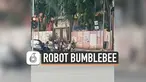 THUMBNAIL BUMBLEBEE