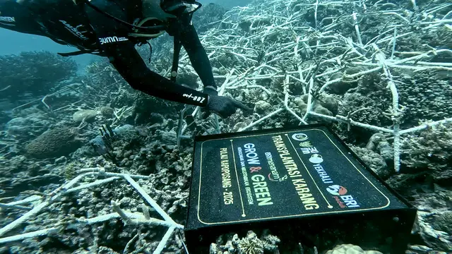 Hari Lingkungan Hidup Sedunia, Program BRI Menanam – Grow & Green Konsisten Dilakukan