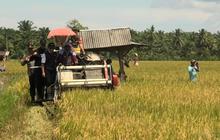 Tahukah Anda? Pasaman Barat Terima Ton Bantuan Kementan untuk Swasembada Pangan