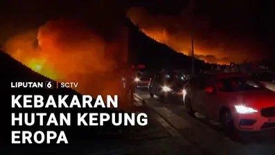 Kebakaran hutan melanda sejumlah wilayah di Eropa, termasuk Kroasia, Inggris, dan Yunani. Angin kencang dan kondisi lahan yang kering membuat api cepat meluas hingga membuat ribuan warga dievakuasi.