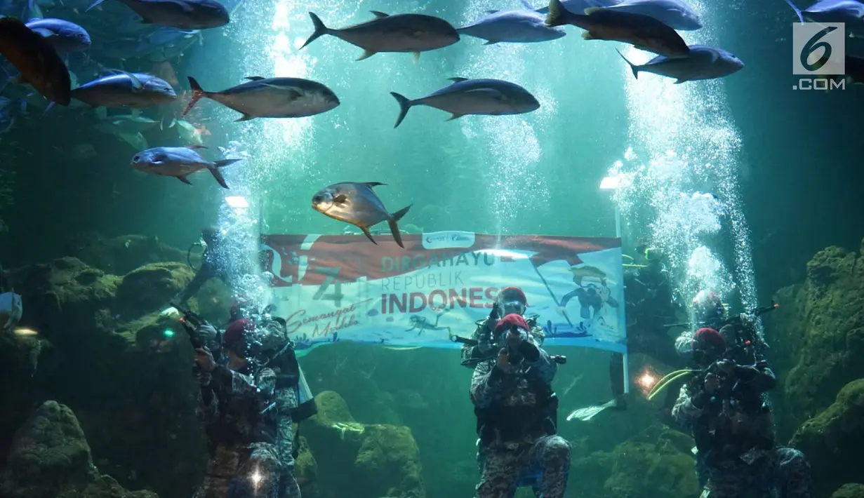 Penyelam melakukan upacara pengibaran bendera di Aquarium Utama Sea World Ancol, Jakarta, Senin (12/8/2019). Pengibaran bendera diadakan dalam rangka menyambut HUT ke-74 RI pada 17 Agustus mendatang. (Liputan6.com/Immanuel Antonius)