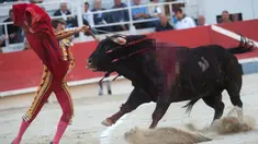 Matador Spanyol, Roman berusaha menusukkan pedang ke banteng saat The Easter Feria di Arles, Perancis, Senin (18/4). The Easter Feria adalah awal dari musim adu banteng di Perancis. (AFP PHOTO / BERTRAND LANGLOIS)