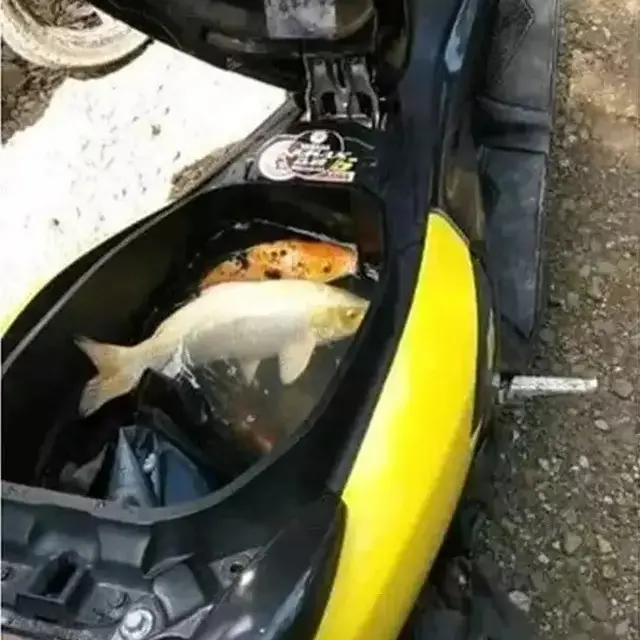 6 Potret Alih Fungsi Jok Motor Ini Bikin Tepuk Jidat, Enggak Habis Pikir