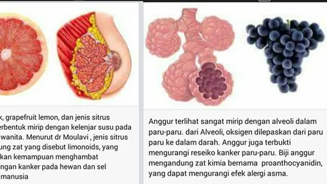 Copyright by facebook.com/Ida Zubaida