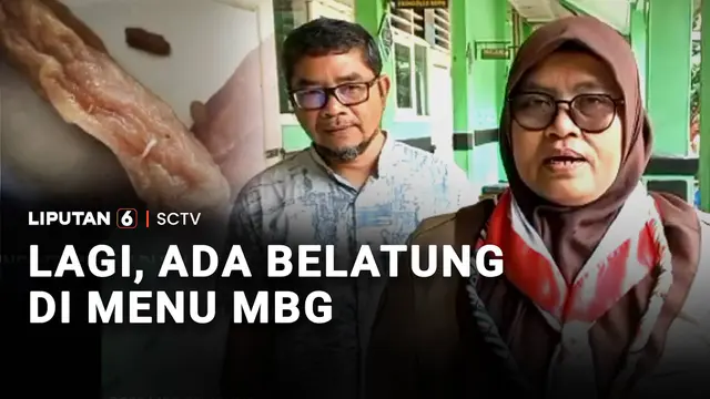 Lagi, Ada Belatung di Menu MBG