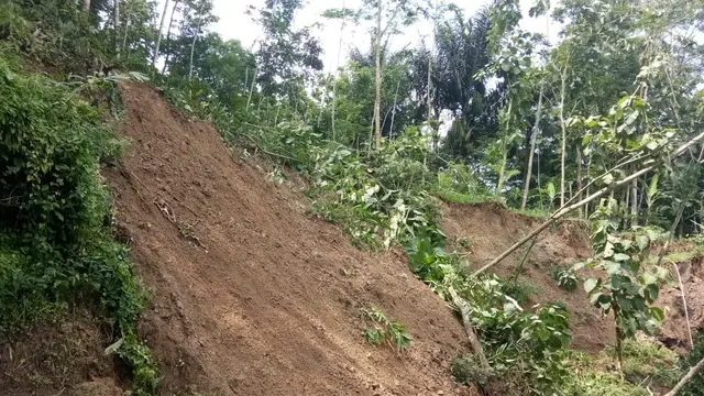 Longsor di Kutabima Kecamatan Cimanggu, Cilacap menutup akses jalan satu desa. (Foto: Liputan6.com/BPBD Cilacap/Muhamad Ridlo)