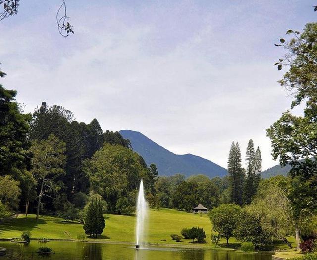 Ada beberapa ketentuan untuk berkunjung ke Kebun Raya Cibodas telah dibuka kembali sejak 25 Agustus 2021 (dok.instagram/@kebunrayacibodaslipi/https://www.instagram.com/p/Ba5165clXH9/Komarudin)