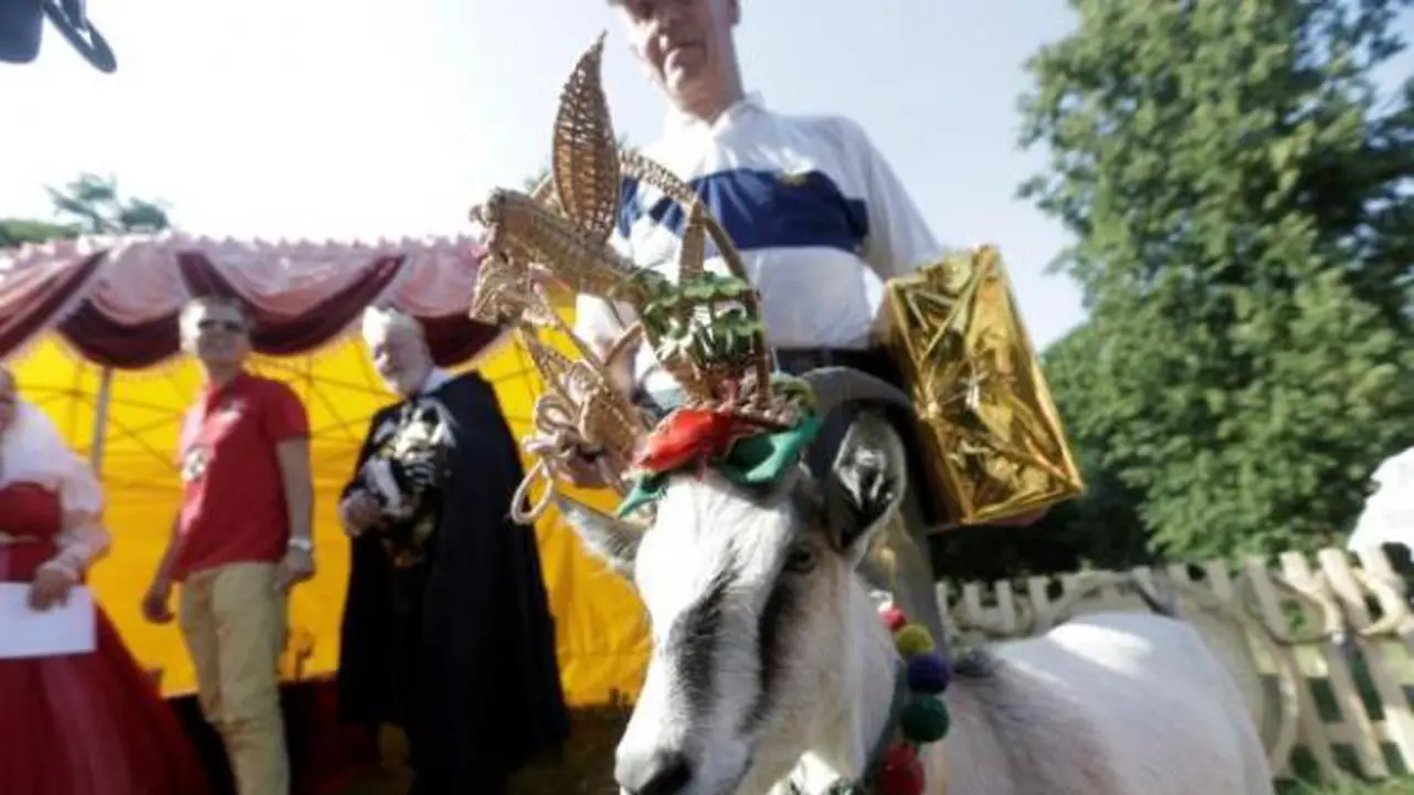 Kontes Kecantikan Kambing di Lithuania