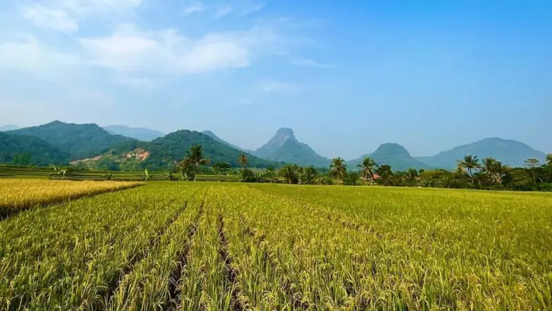 Landscape Gunung Sanggabuana di Karawang Jawa Barat