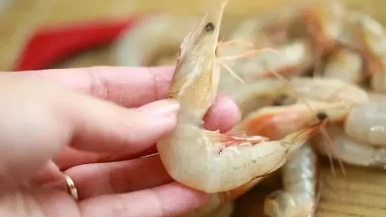 Rahasia Penyimpanan Udang agar Tetap Segar hingga Satu Bulan