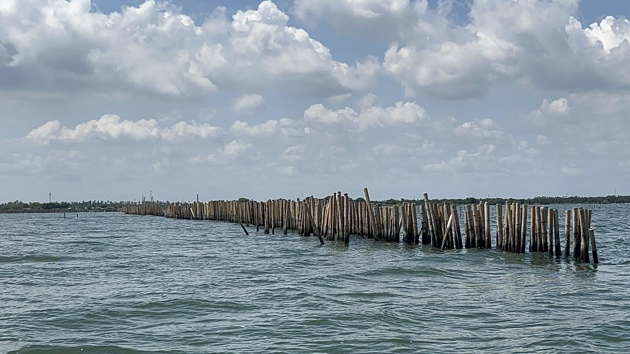 pagar laut di kohod