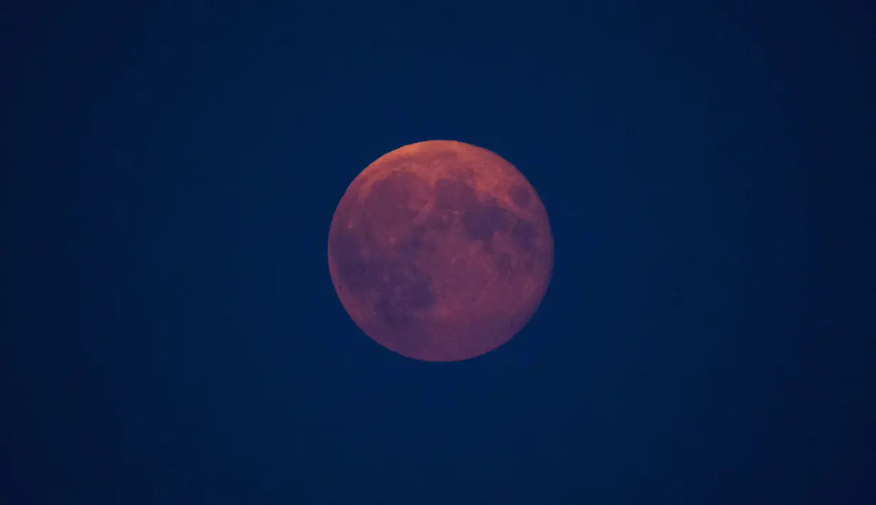 Fenomena Supermoon tampak di langit Glastonbury, Inggris, Selasa (9/9/14). (REUTERS/Kieran Doherty)