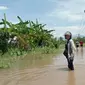 Banjir di lingkungan Pakis Rowo, Kelurahan Pakis Banyuwangi (Istimewa)