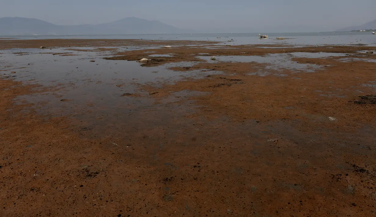 Danau ini merupakan sumber utama pasokan air untuk wilayah metropolitan Guadalajara. (Ulises Ruiz / AFP)