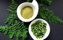 Mengolah Daun Kelor yang Kaya Nutrisi Jadi Makanan yang Lezat dan Bagus untuk Tubuh