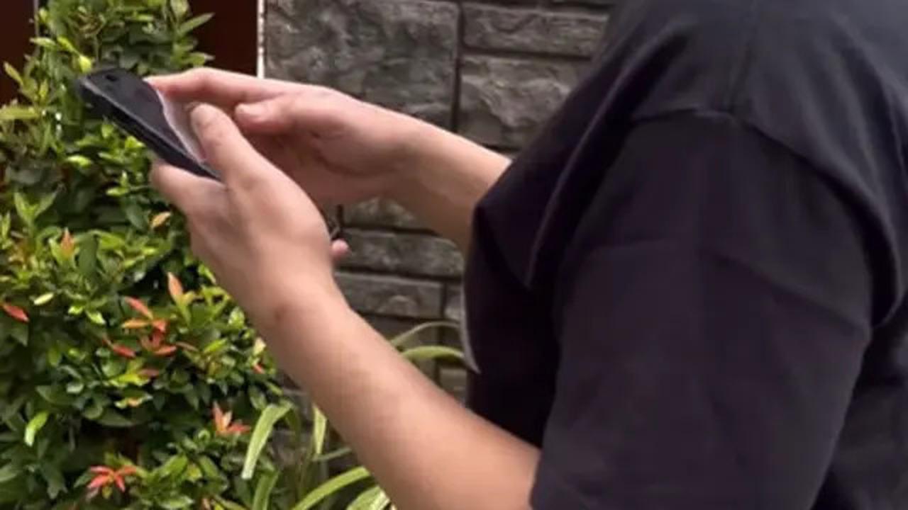 6 Potret Taman Mini Rumah Ari Lasso yang Asri, Jadi Spot Santai Favorit bareng Kekasih
