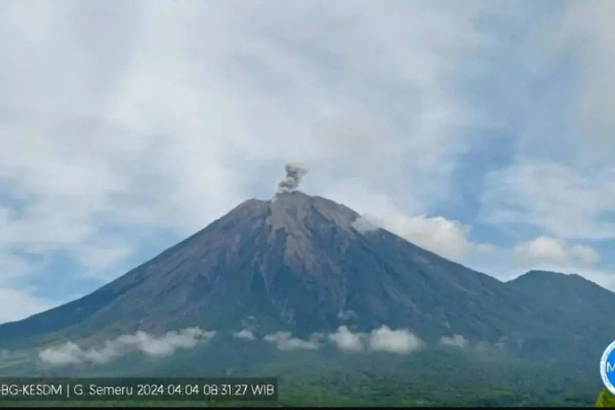 Gunung Semeru Erupsi setinggi 600 meter (Istimewan)