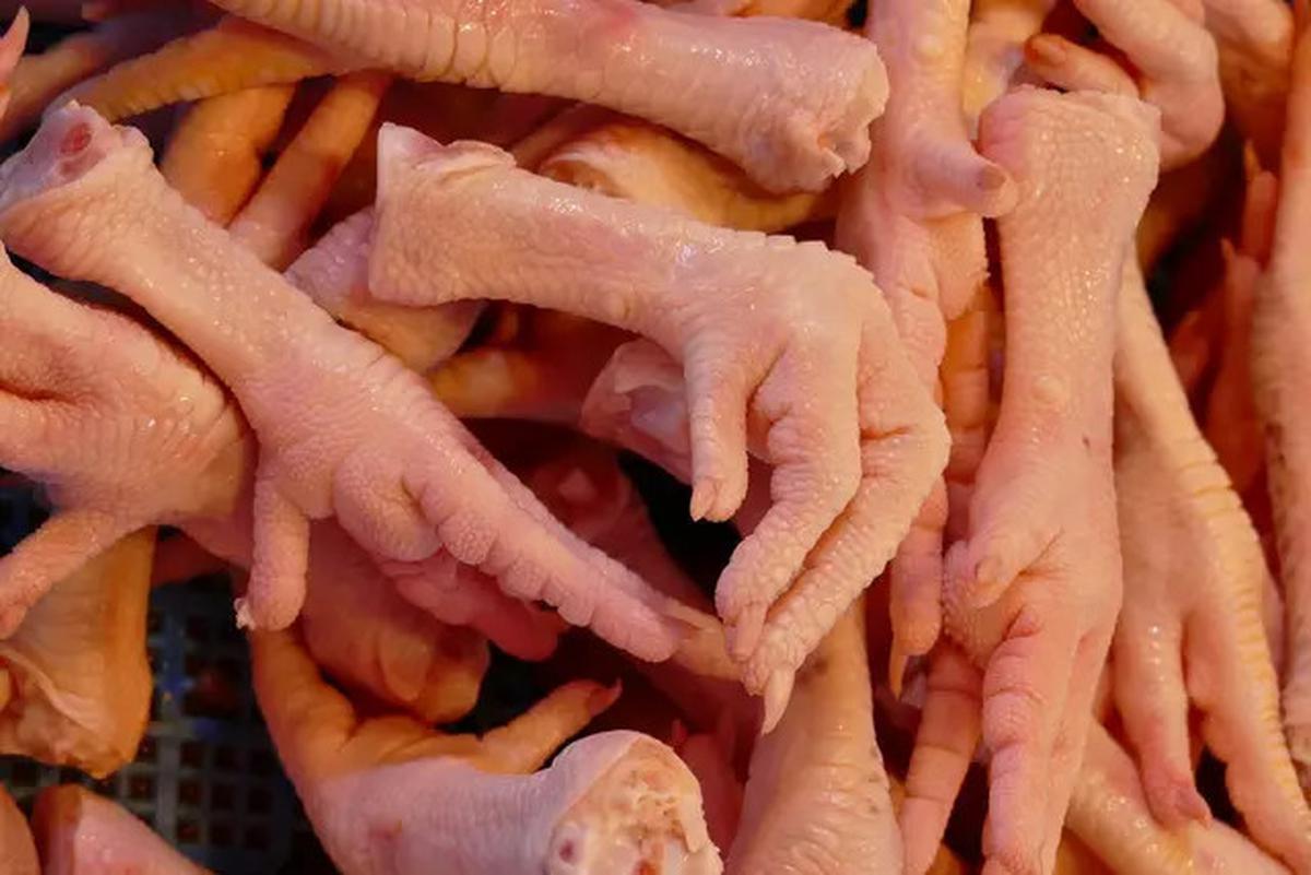 Rahasia Menyimpan Ceker Ayam Agar Tetap Segar Berbulan-bulan