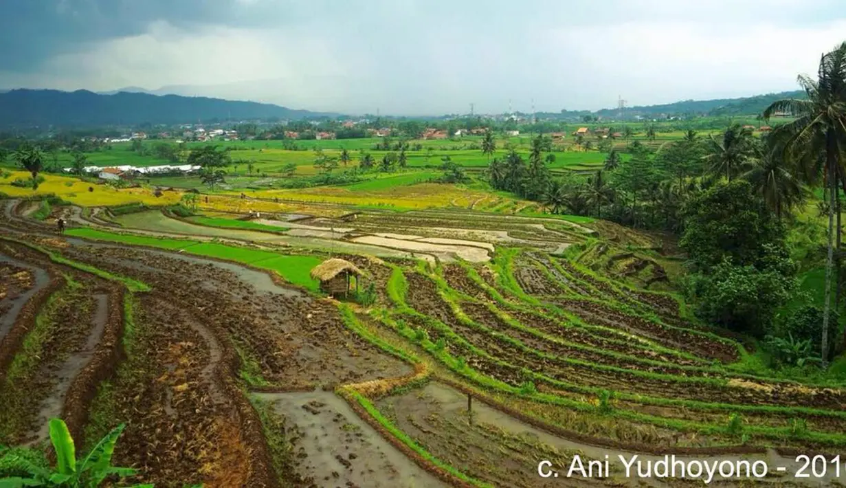 Keindahan yang menyejukkan mata. Diambil dari atas KA menuju Purwokerto, Jawa Tengah, 25 September 2016. (Liputan6.com/IG/@aniyudhoyono)