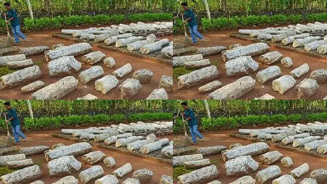 Megalitikum Dusun Sokoliman, Cermin Peradaban Manusia