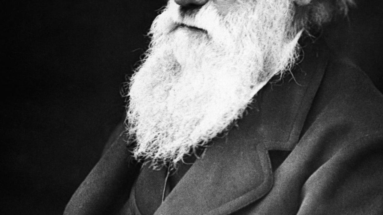 80.	"Seorang yang berani menyia-nyiakan waktu satu jam, belum menemukan nilai kehidupan." - Charles Darwin
