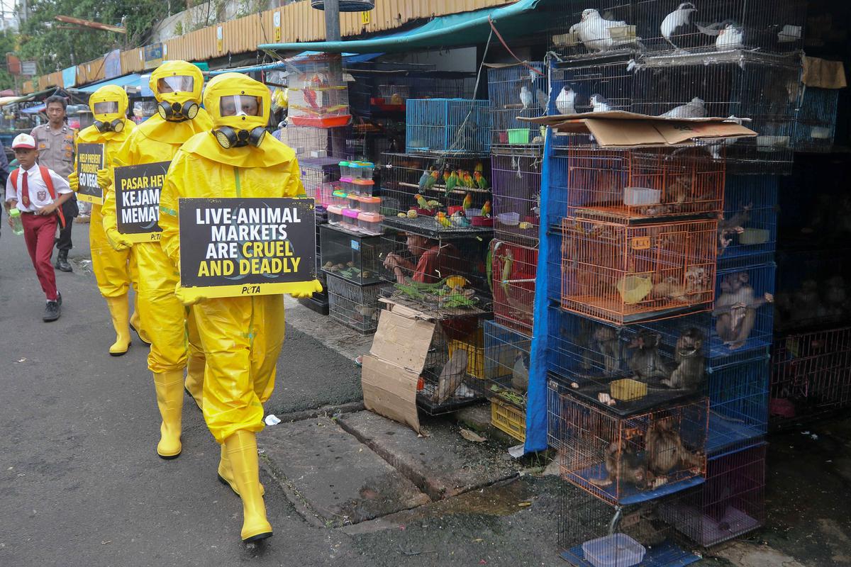 Aktivis PETA demo di Pasar Hewan Jatinegara