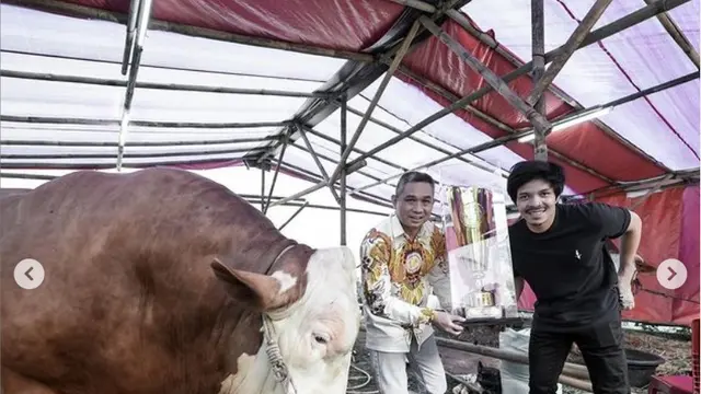 Sapi megalodon milik Atta Halilintar (Instagram @attahalilintar)