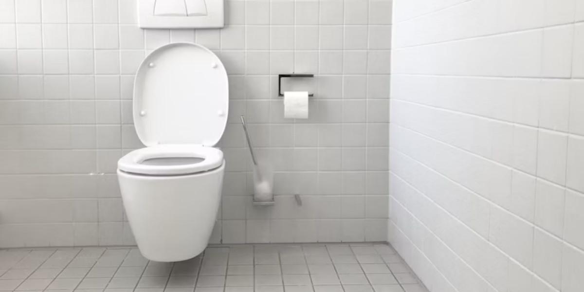 Ilustrasi Toilet