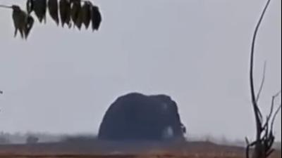Semburan Lumpur Kembali Menyembur di Oro-oro Kesongo Blora, Tingginya 15 Meter