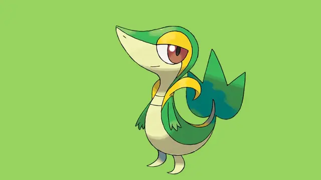Snivy.