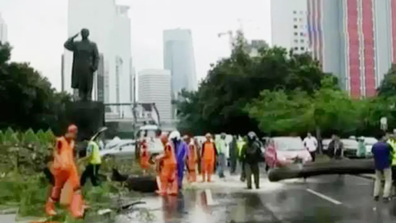 Segmen 2: Pohon Tumbang Hingga Penjelasan Dita dan Masinton