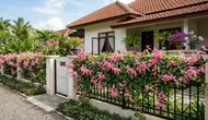 7 Ide Pagar Rumah dengan Bunga Air Mata Pengantin yang Cantik dan Estetik