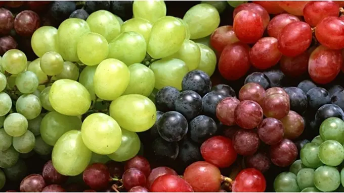 Foto: copyright by shutterstock.com