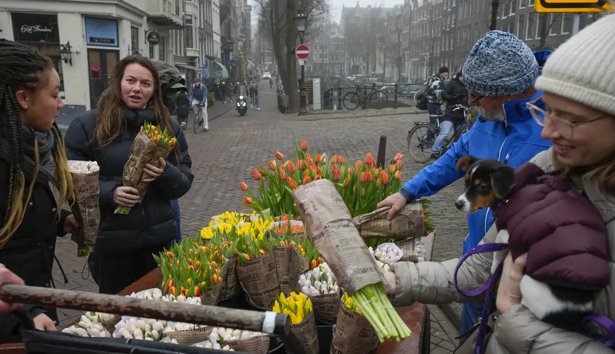 Warga mendapatkan buket tulip di Amsterdam, Belanda, Sabtu (15/1/2022). Toko-toko di seluruh Belanda dengan hati-hati dibuka kembali setelah berminggu-minggu penguncian virus corona. (AP Photo/Peter Dejong)