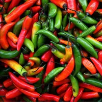 Selain bikin berkeringat, makanan pedas punya 8 manfaat tersembunyi.