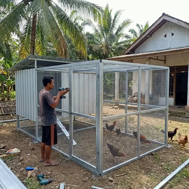 Model Kandang Umbaran Tertutup (Run-in Coop) (Gemini AI)