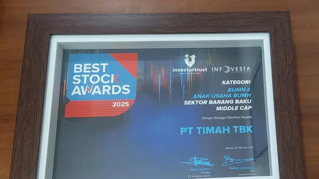 PT Timah