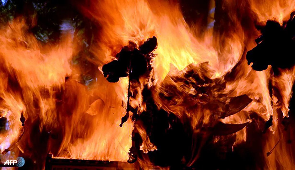 Sarkofagus kerbau yang dibakar saat prosesi ngaben. (AFP/Sonny Tumbelaka/wwn)