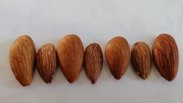 Tak Banyak yang Tahu, 6 Trik Sederhana Ini Bisa Bikin Masak Lebih Mudah