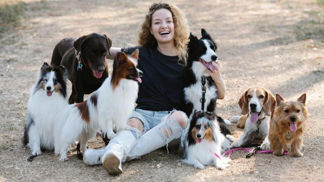 40 Funny Dog Jokes for Kids That Guaranteed Young Comedians Laugh