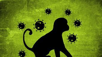 WHO Ganti Nama Cacar Monyet Monkeypox Demi Hindari Diskriminasi
