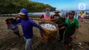 Nelayan menarik jaring sepanjang 4 km untuk menangkap ikan semar di Pantai Konang, Trenggalek, Jawa Timur, Jumat (1/9/2023). (merdeka.com/Arie Basuki)