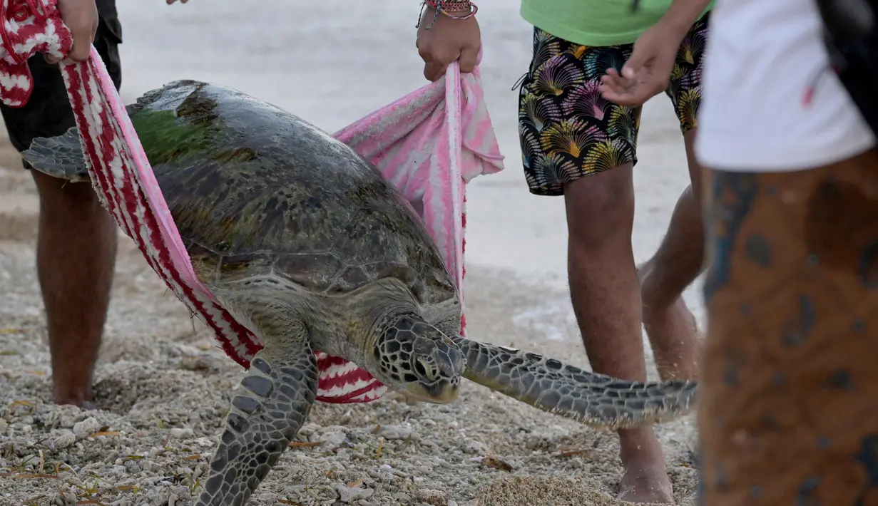 Prosesi upacara diakhiri dengan pelepasan satwa. (SONNY TUMBELAKA/AFP)