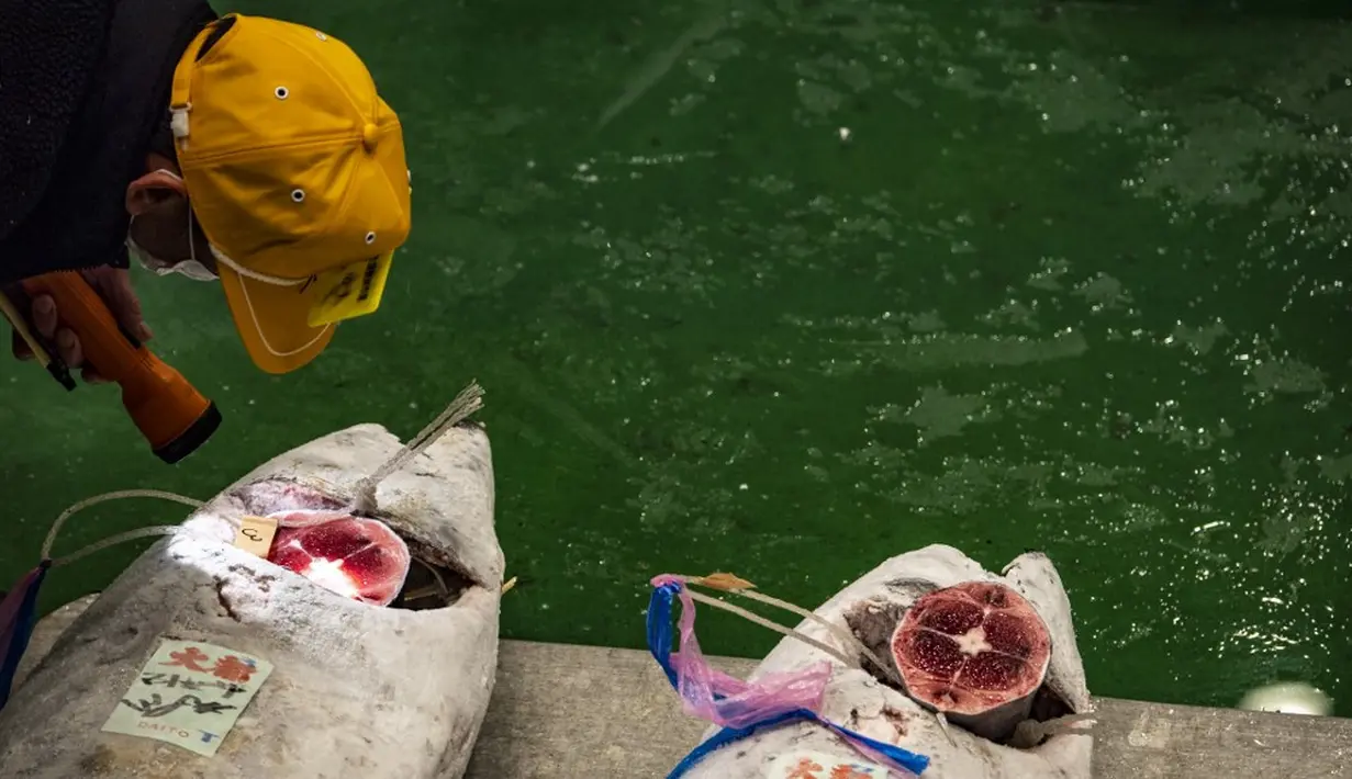 Seorang tengkulak memeriksa tuna beku saat lelang di Pasar Toyosu, Tokyo, Jepang, 5 Januari 2021. Untuk lelang tahun ini, para tengkulak diwajibkan menggunakan masker dan membersihkan tangan saat memeriksa tekstur tuna. (Philip FONG/AFP)